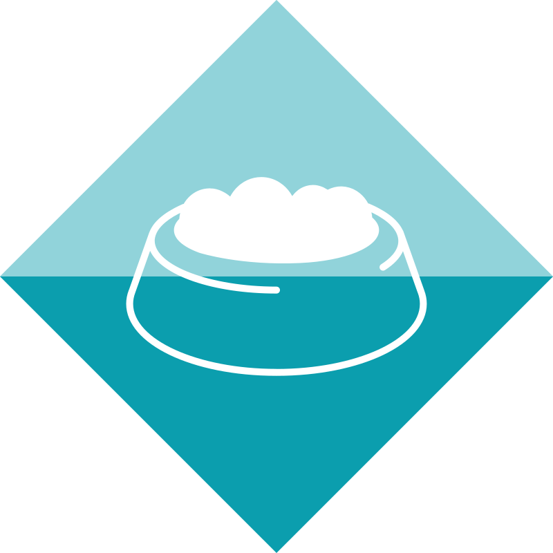 HQ_Vikaly_Icon_Bowl 2_Green.png