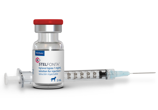 Představujeme přípravek Stelfonta